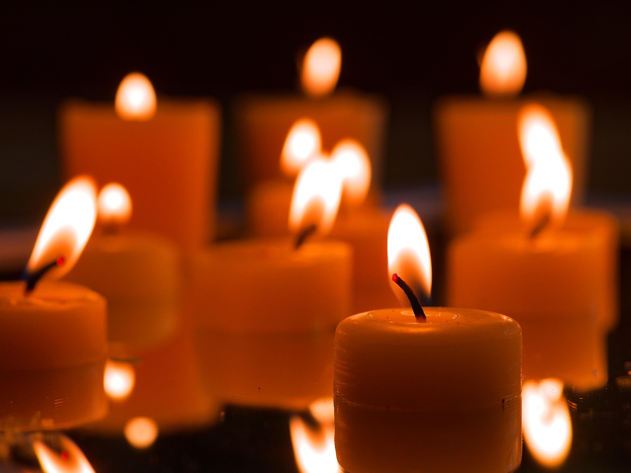 Balmumu Gıda Sarma Seti - Görsel 2